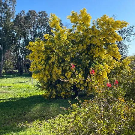 Bed and Breakfast D'hotes 