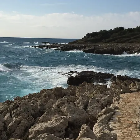 D'hôtes La Bastide Des Eucalyptus 3* Antibes