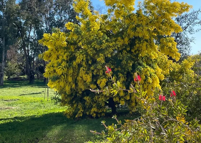 Bed & Breakfast Chambre D'hotes 